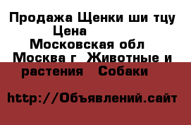 Продажа.Щенки ши-тцу › Цена ­ 10 000 - Московская обл., Москва г. Животные и растения » Собаки   